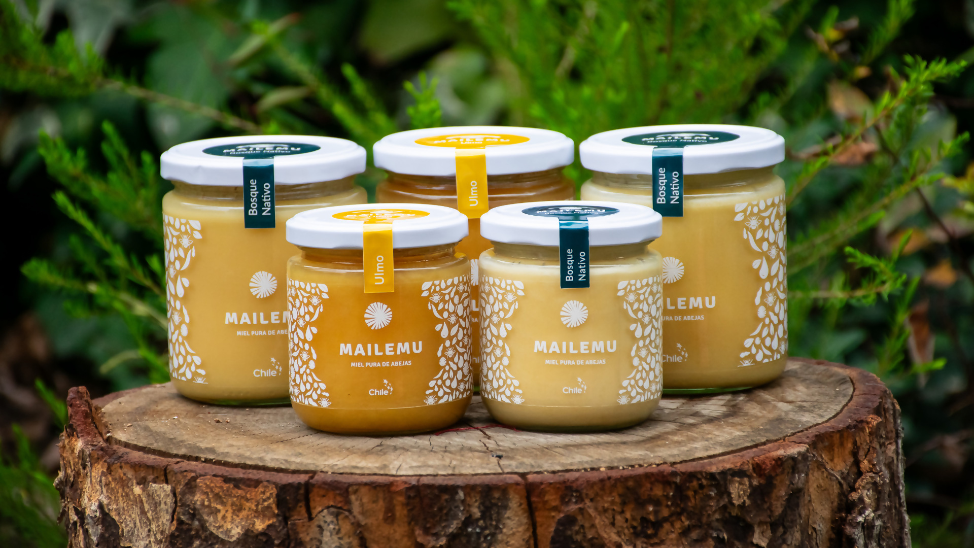 Diseño sin título (8)