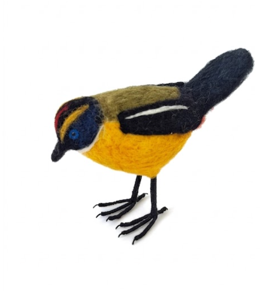 Aves Chilenas de Fieltro- Siete Colores - ULMMO