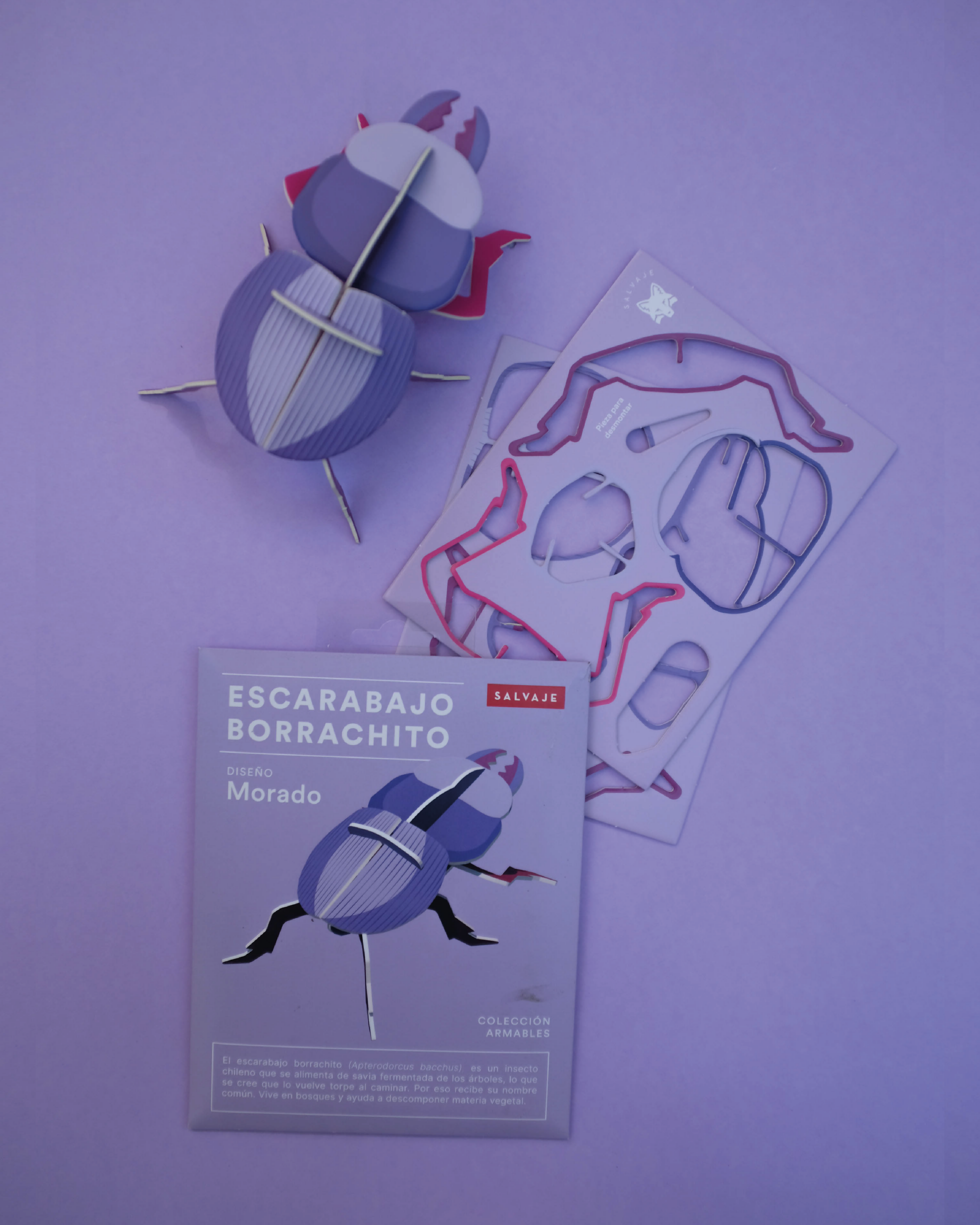 Escarabajo borrachito para armar