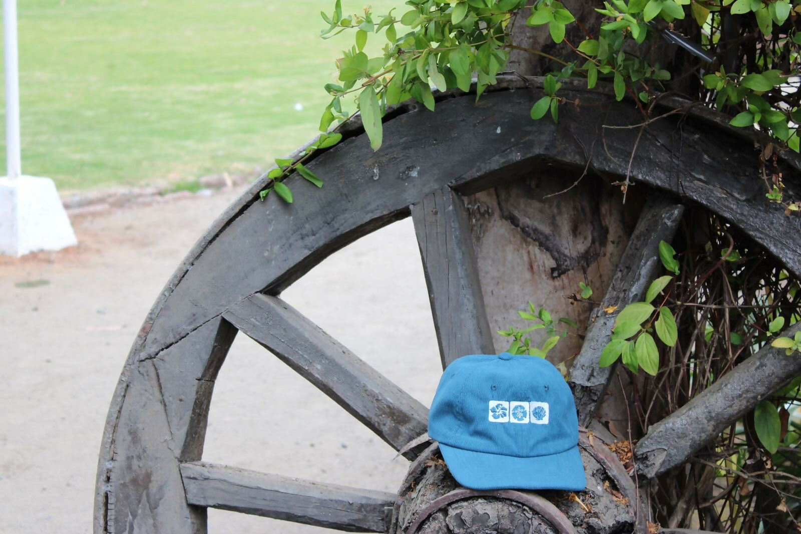 Jockey Conchas- Azul cotele