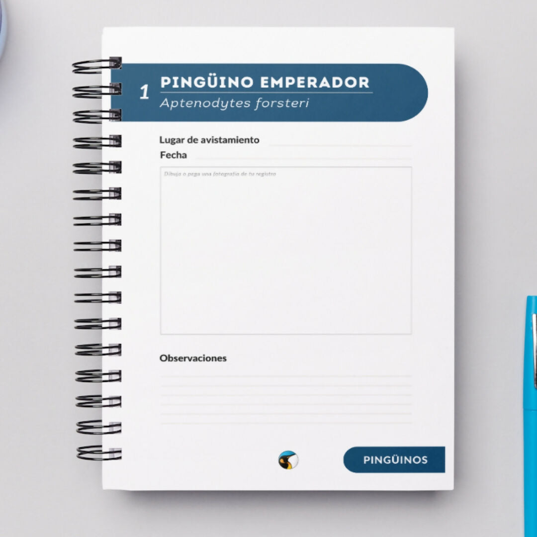 Cuaderno de Campo Aves Marinas de Chile