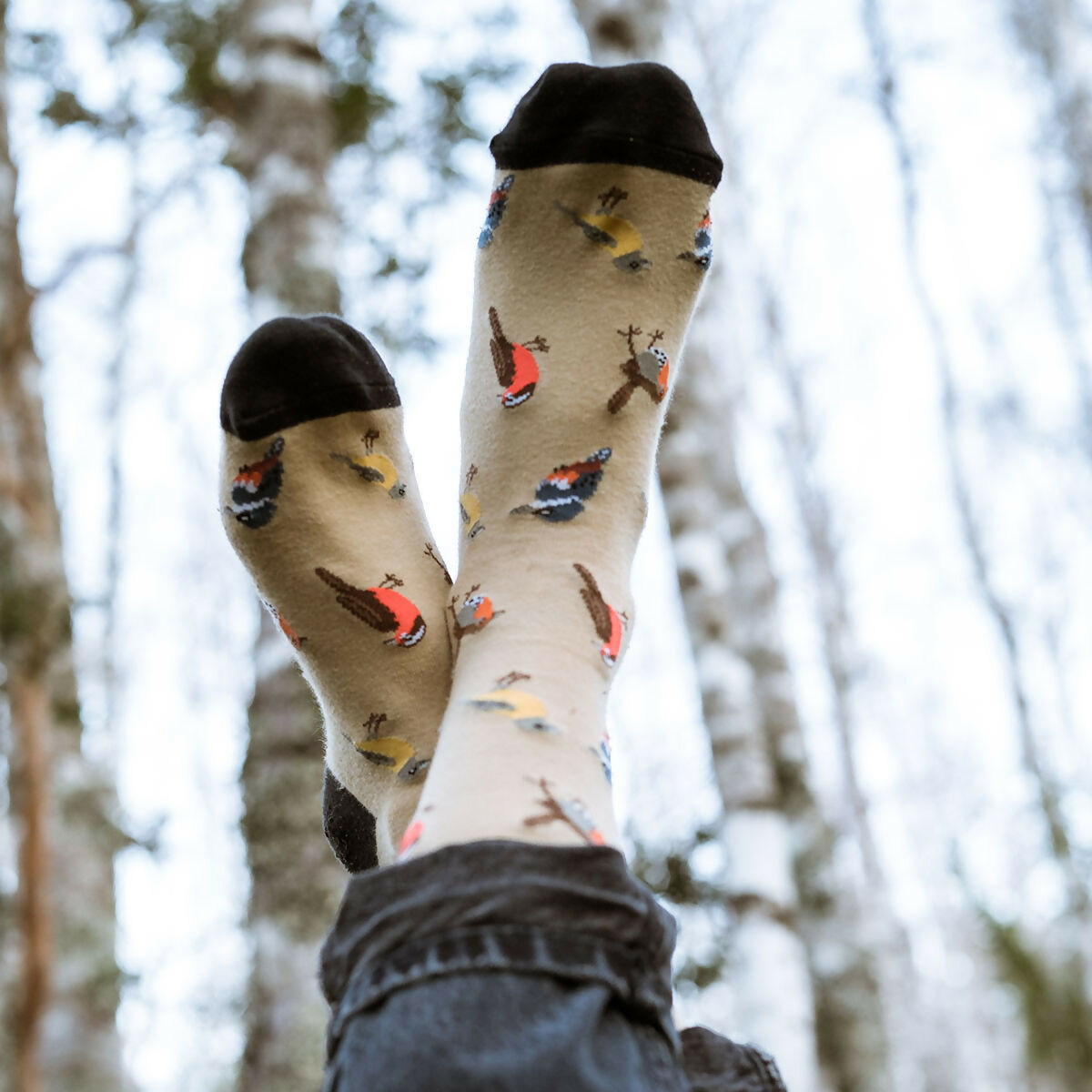 Calcetin Aves de Chile Beige