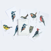 Postales Aves de Chile