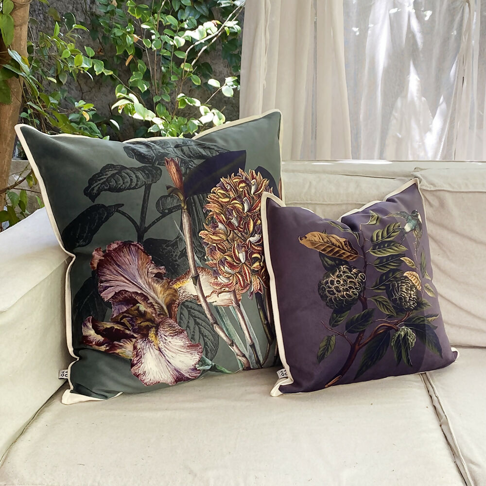 CJ60-Lirio1_CJ45golondrina