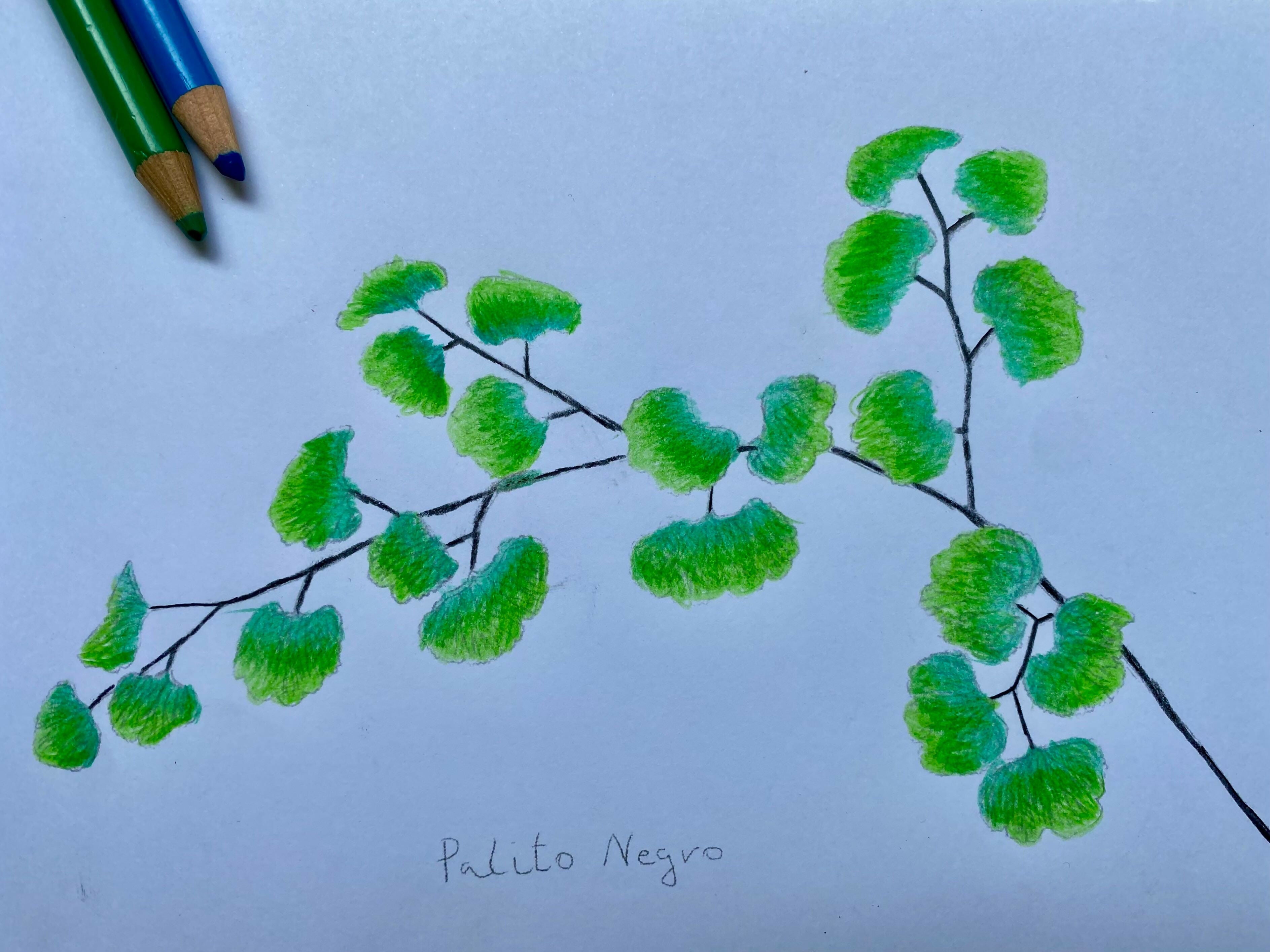 WhatsApp Image 2024-12-06 at 2.33.14 PM (2)