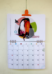 Calendario Muro 2026-2027