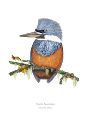 PIN martin 21x29,7 2 copia