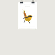 13x18 rayadito lamina