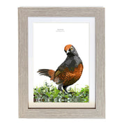 CUADRO HUEDHUED A1 VGO con paspartu copia.jpg