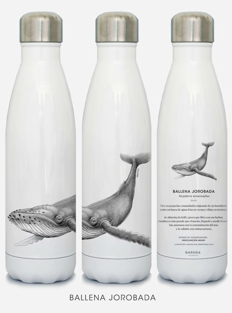 Botella Ballena