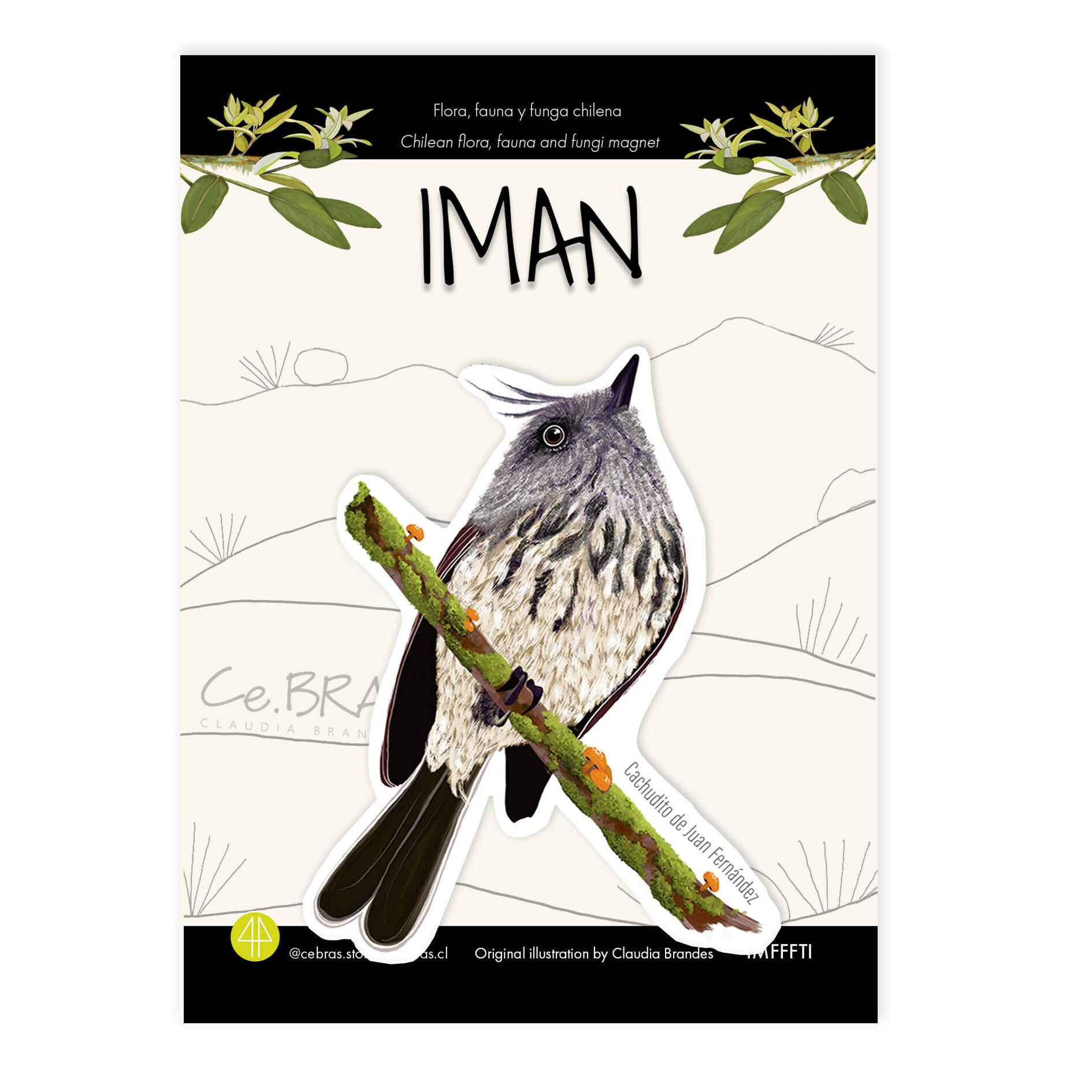 CACHUDITO DE JUAN FERNANDES POST IMAN