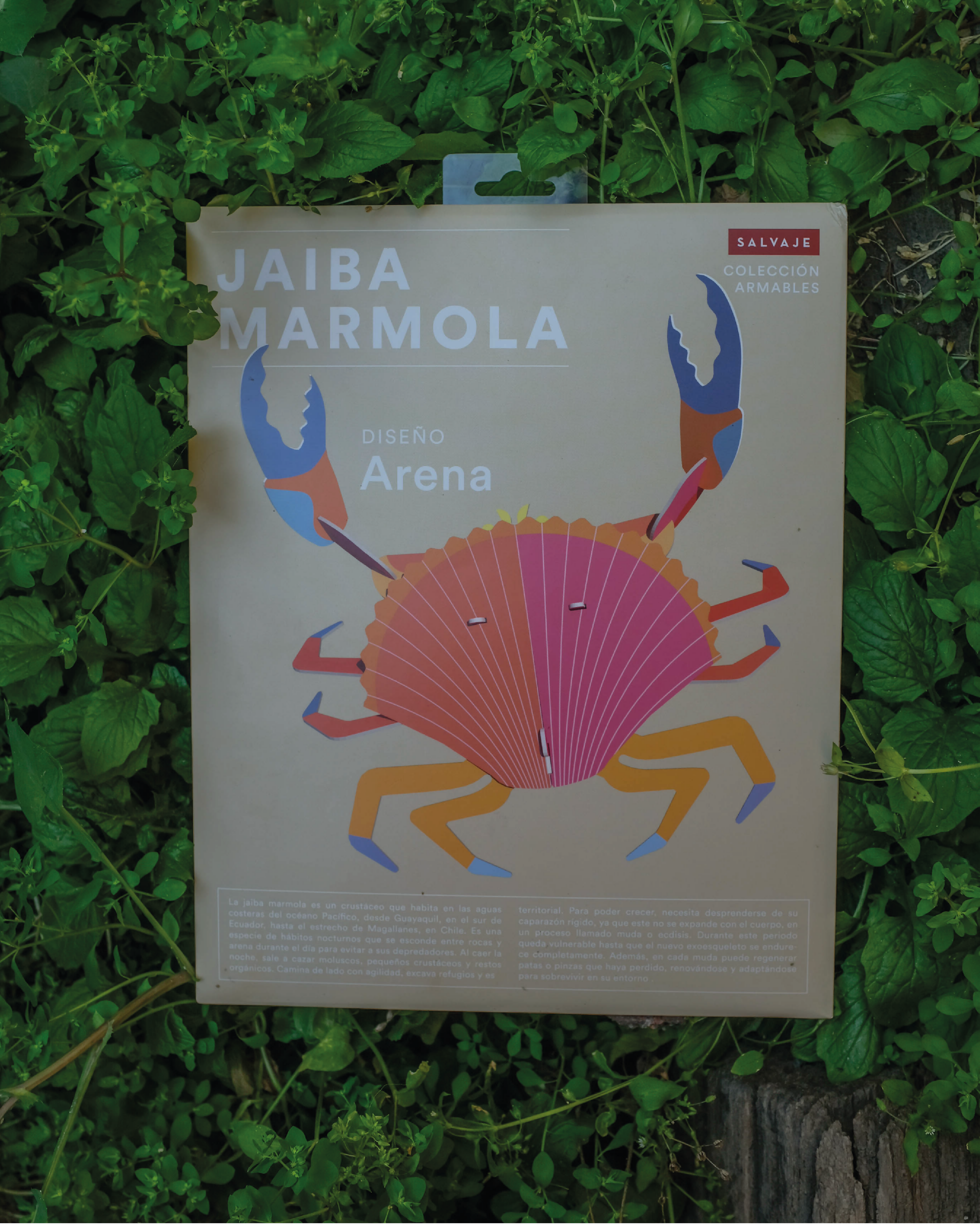 Jaiba marmola para armar