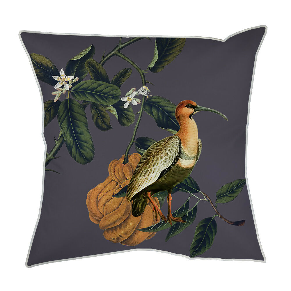 CJ45VC_Pangui_bandurria