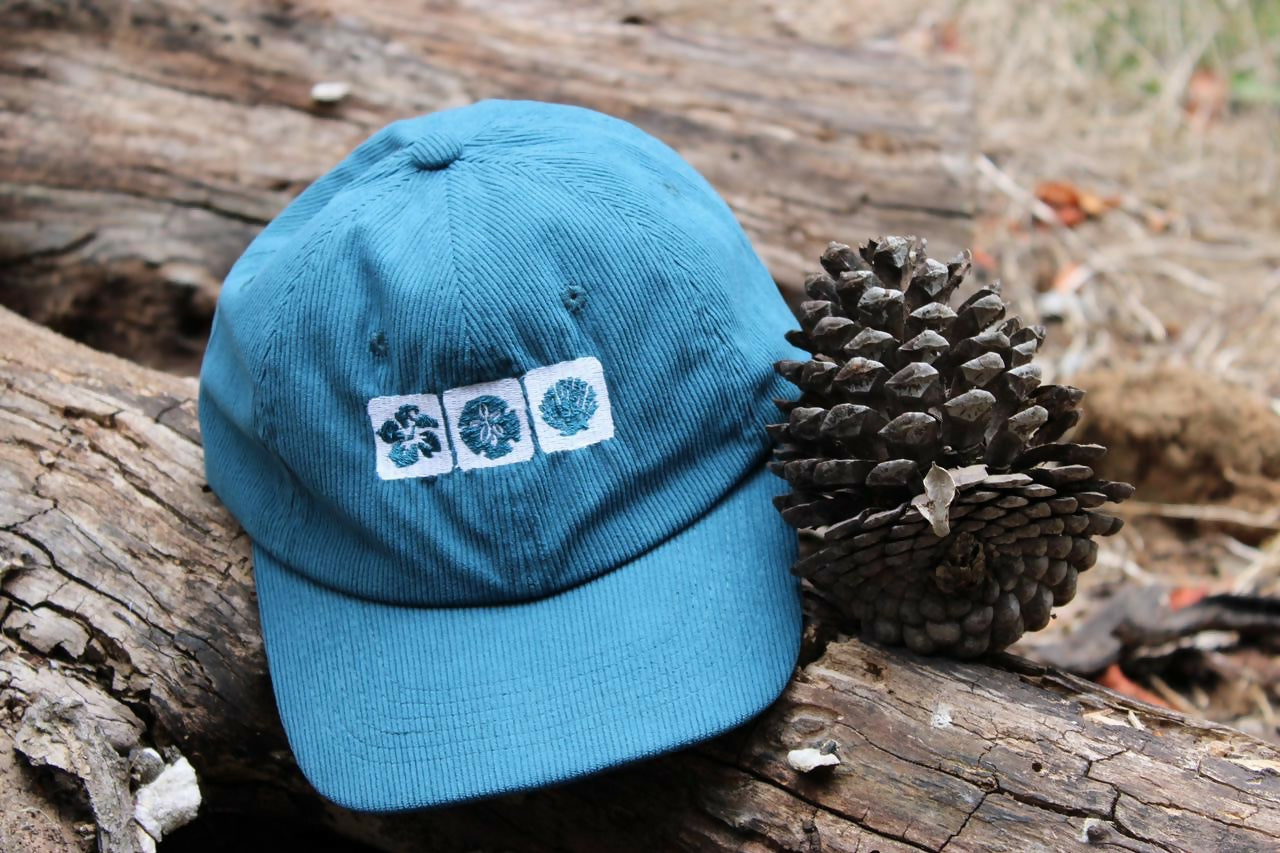 Jockey Conchas- Azul cotele