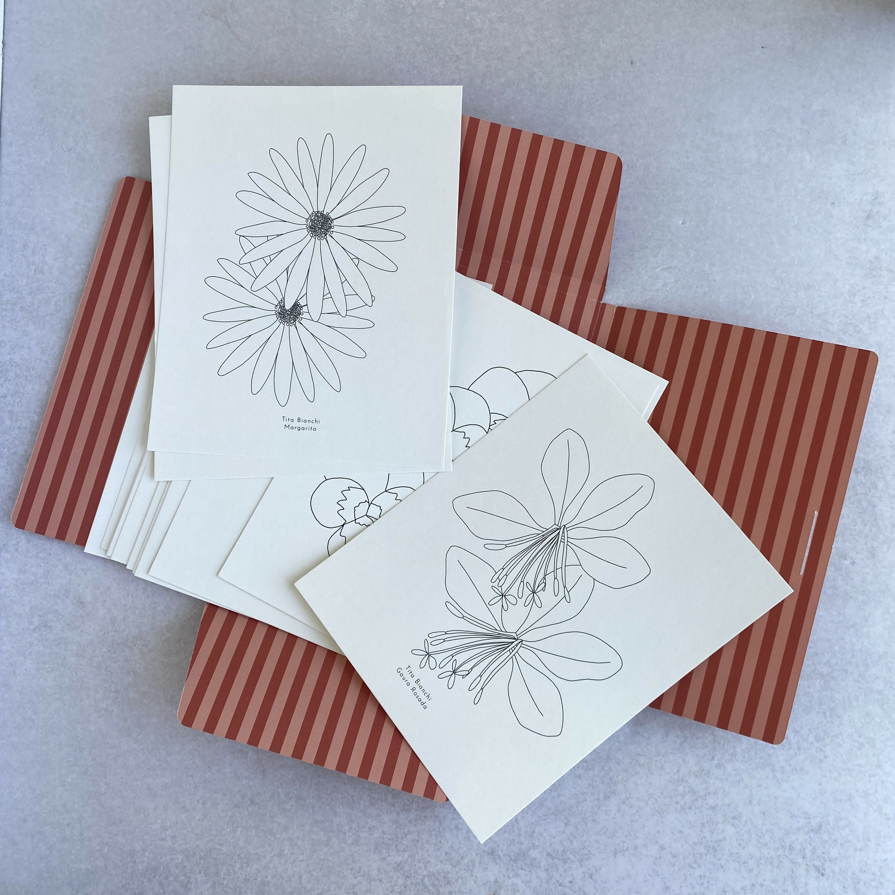 Carpeta Flores con 22 láminas para pintar