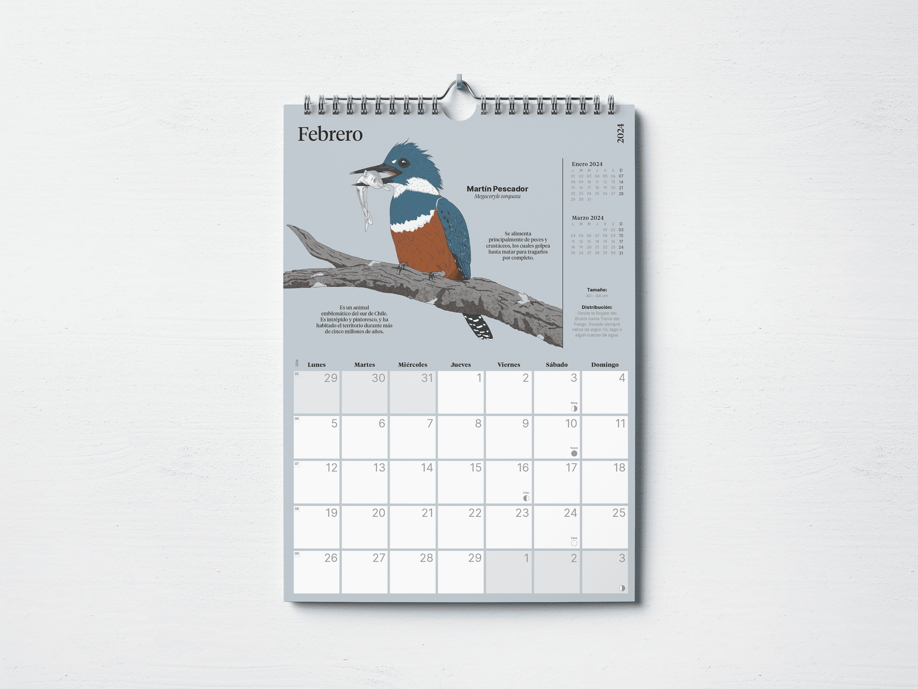 Calendario 2024 "12 aves de Chile"