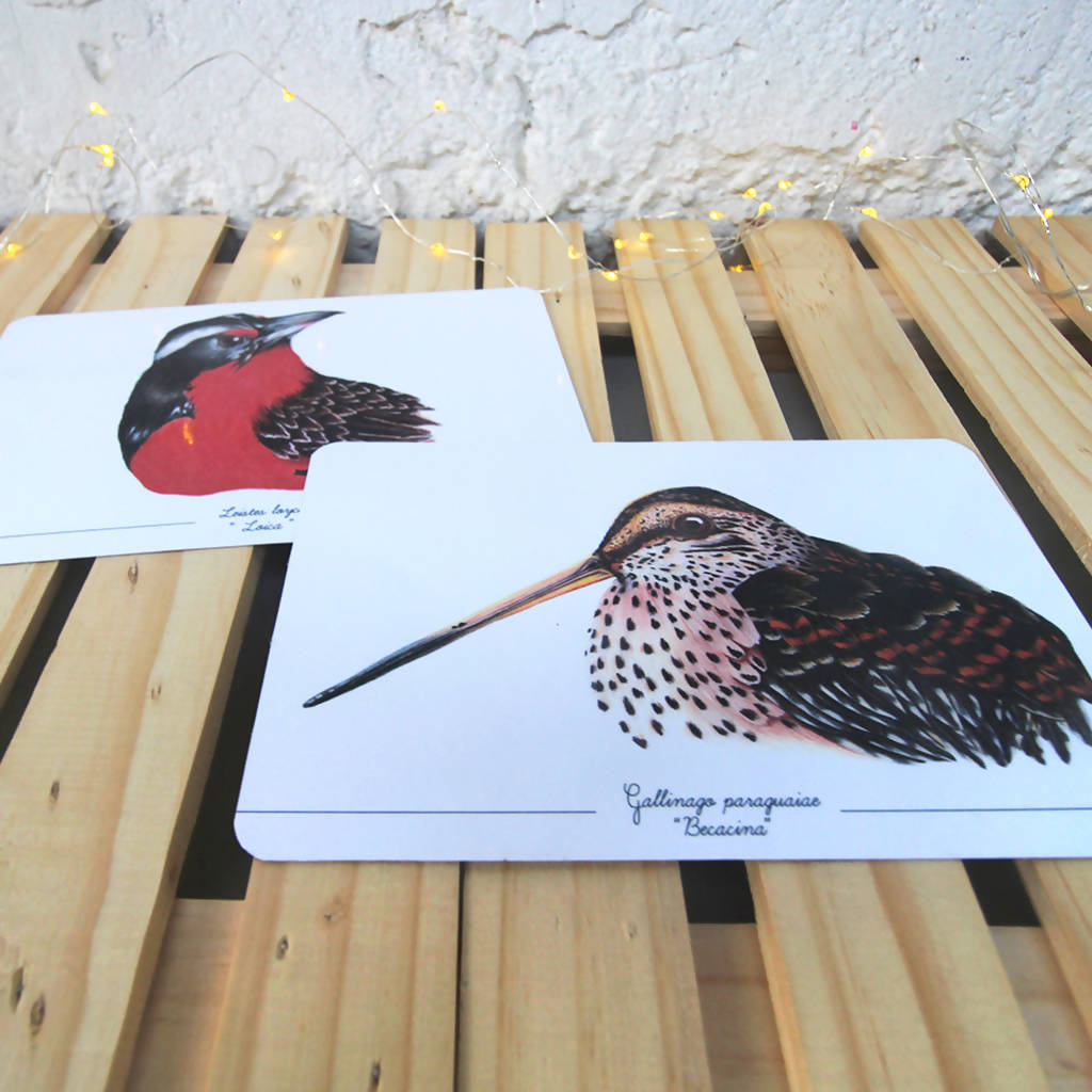 Colección Postales "Aves en Chile"
