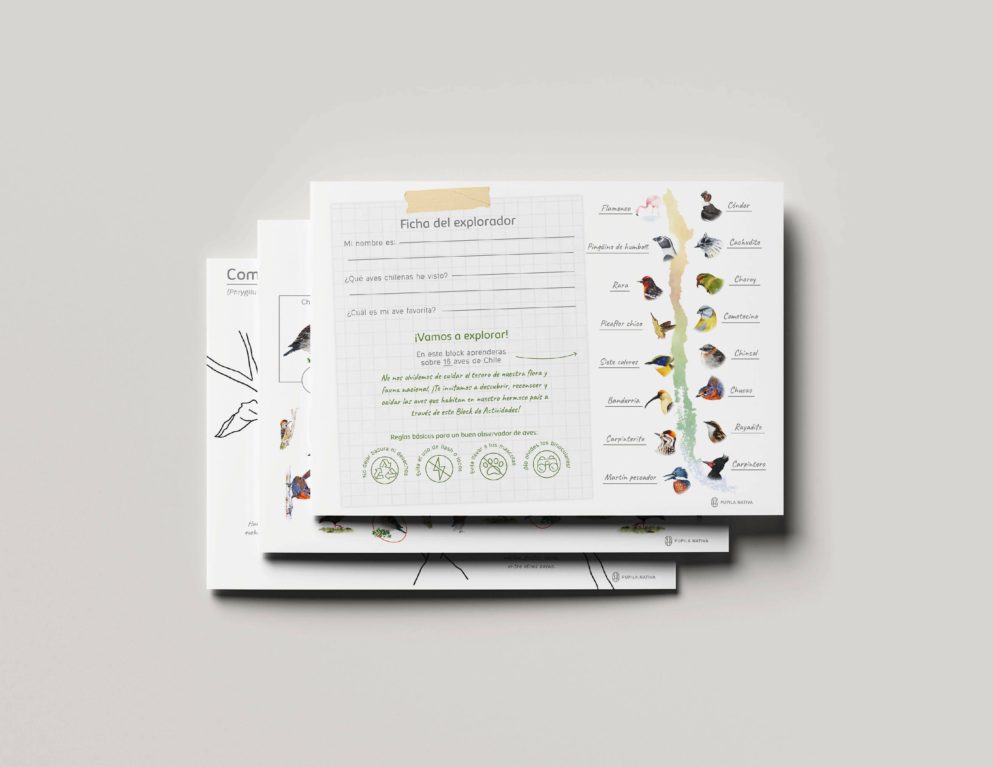 2da Edición Block de actividades aves de Chile - Creado en Chile
