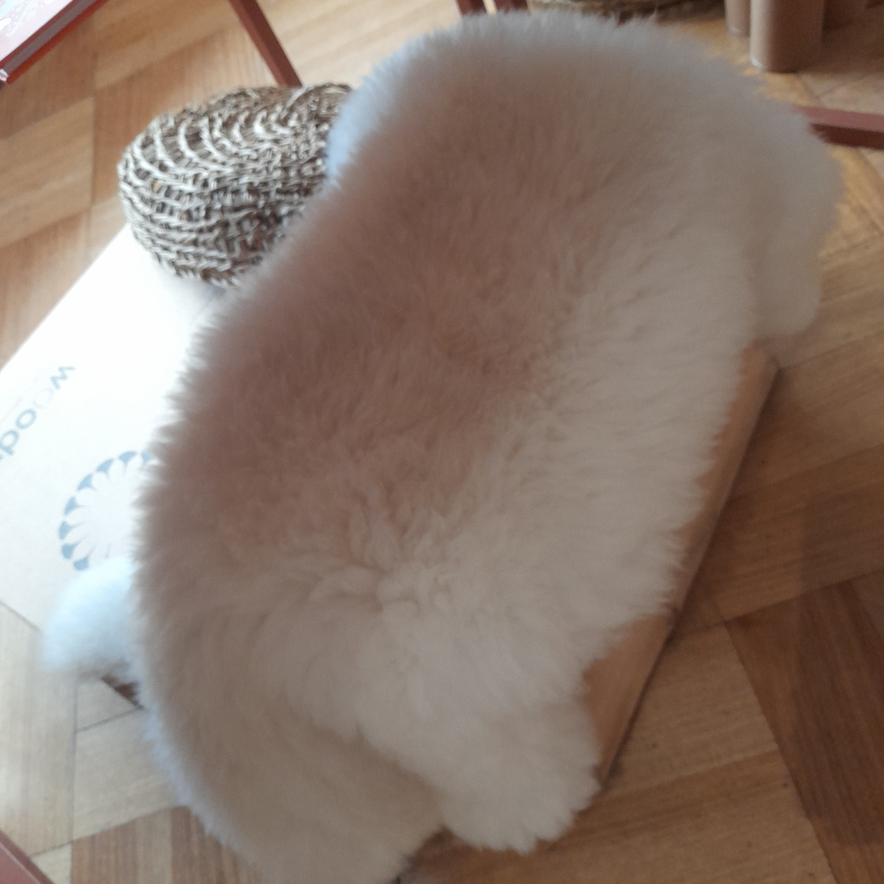 Piel de oveja blanca