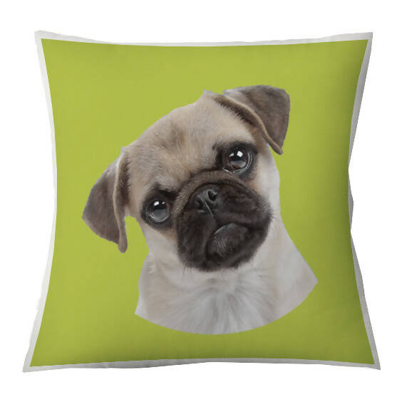 Cojín Color Pug, 45×45