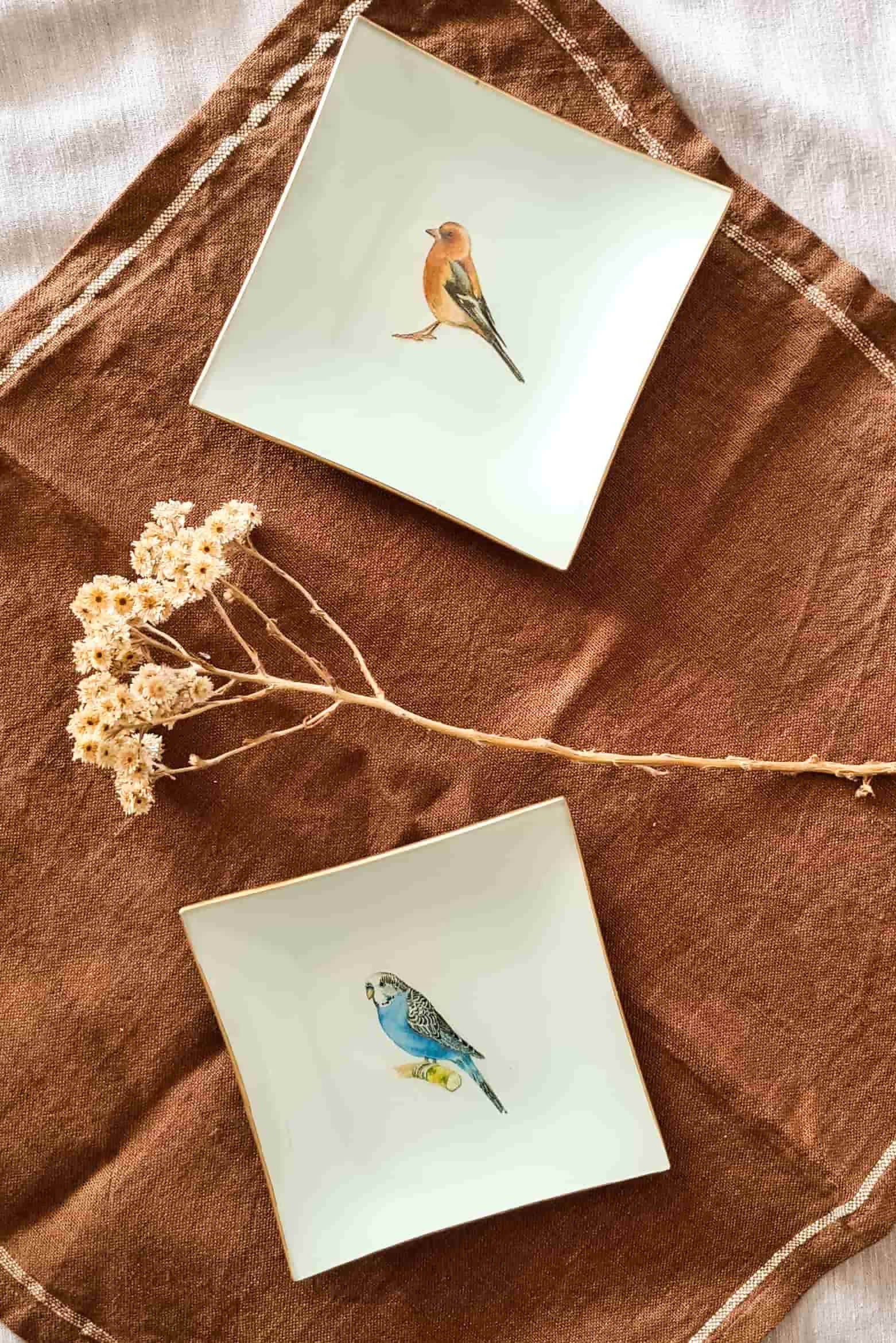 Plato Pan cuadrado variedades