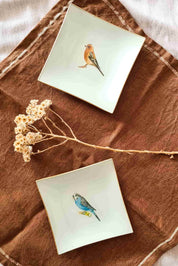 Plato Pan cuadrado variedades