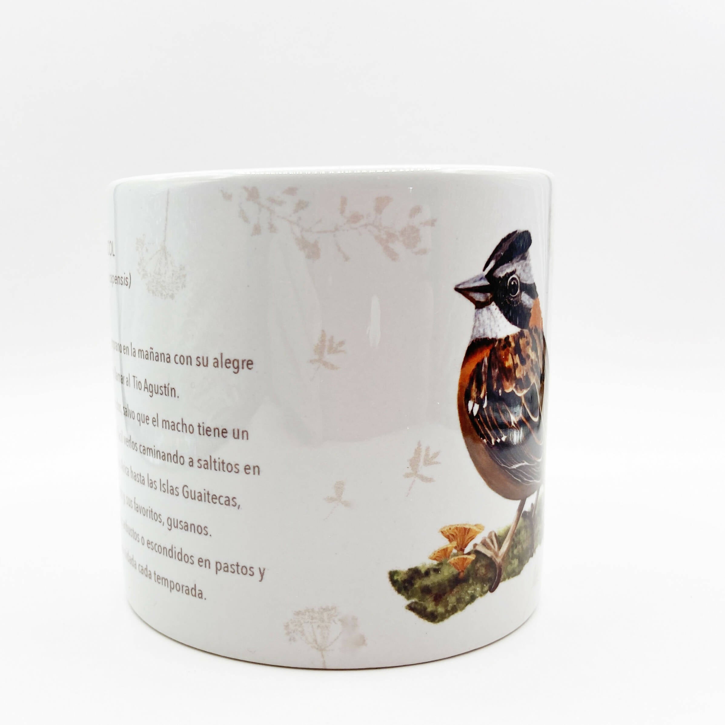 taza cafe chincol 2