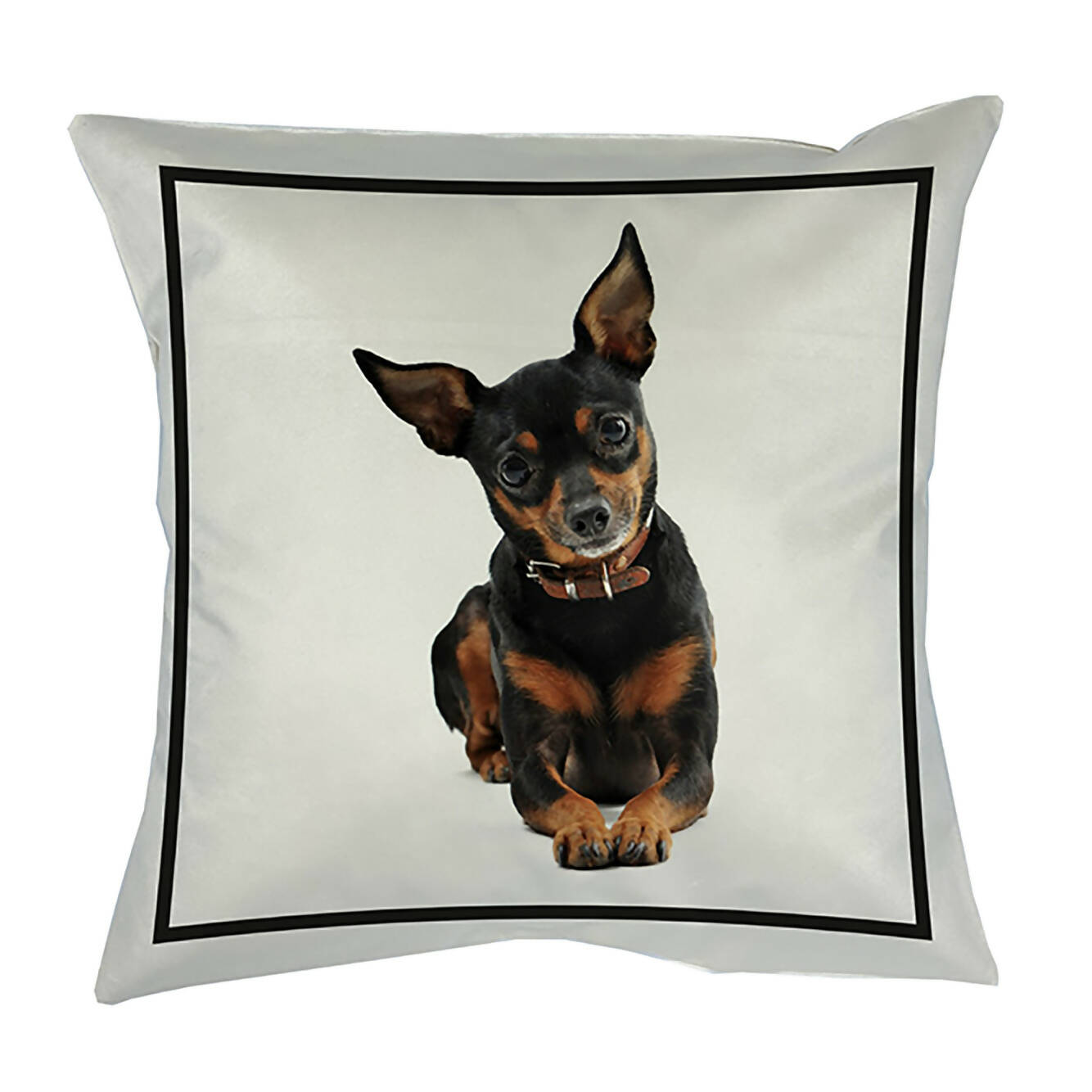 Cojín Classic Pinsher, 45×45