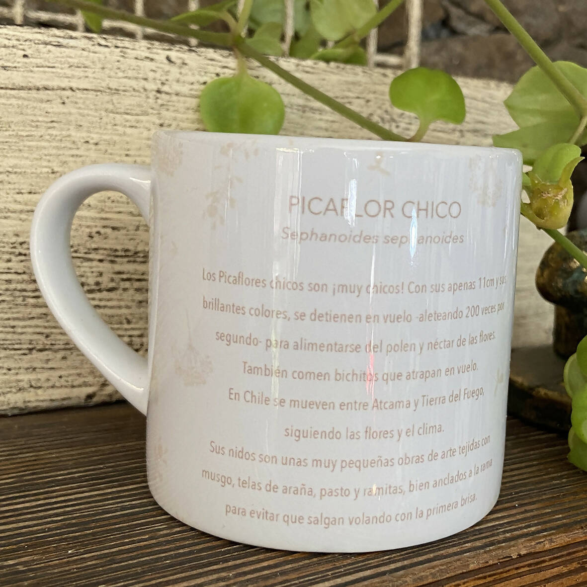 Taza de café Picaflor, pajaritos chilenos