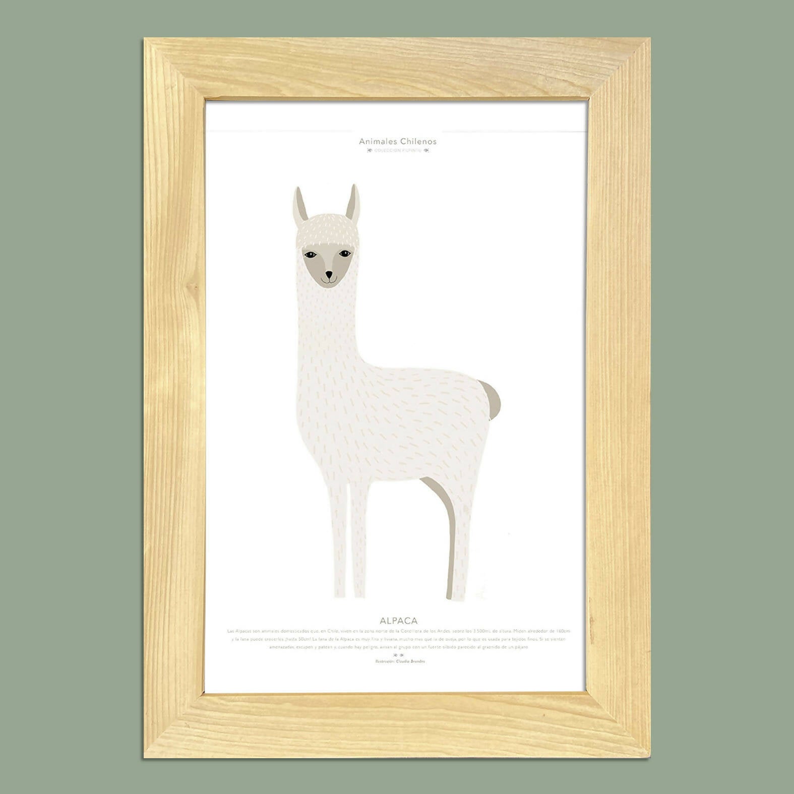 Cuadro ALPACA, colección Fauna Chilena, 20x30cm