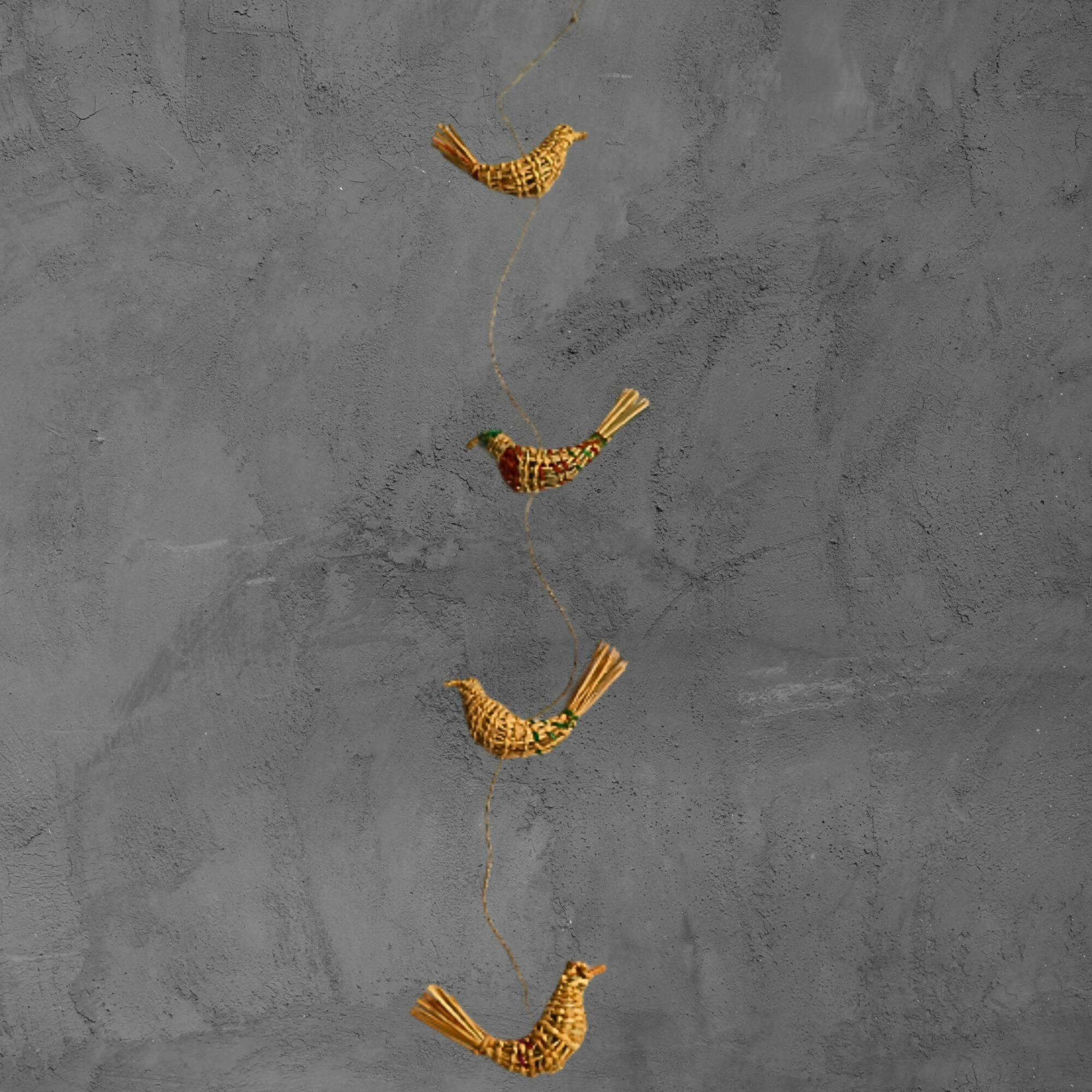 tira de pajaritos de junquillo