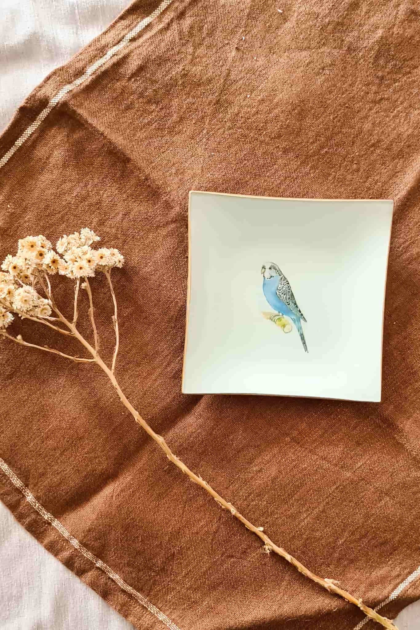 Plato Pan cuadrado variedades