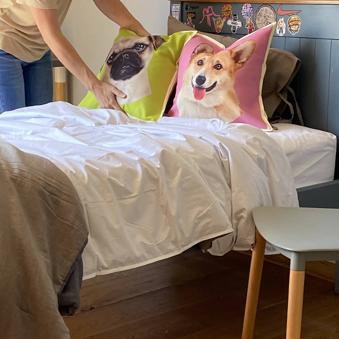 Cojín Color Pug, 45×45