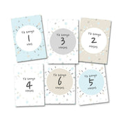 Tarjetas Meses Bebé "Tempo Gris"