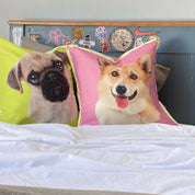 Cojín Color Pug, 45×45