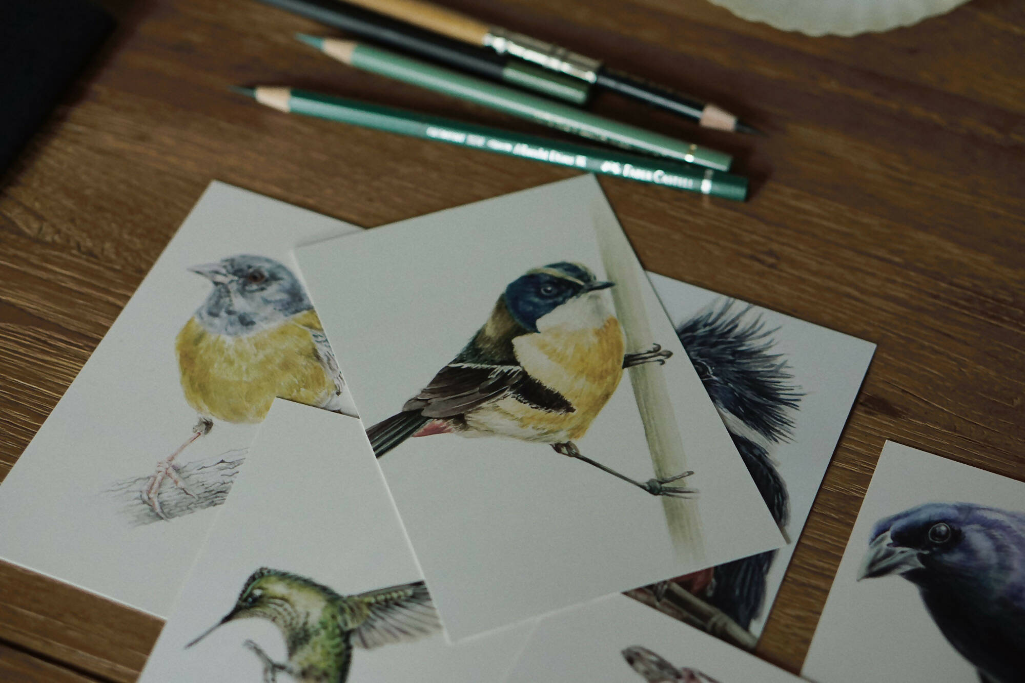 Set de Postales Pajaritos y Otras Aves