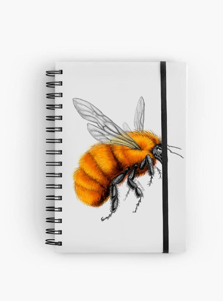 CUADERNO ABEJORRO CHILENO - Creado en Chile