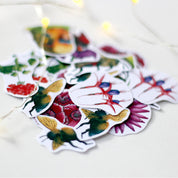 Set de stickers pequeños