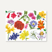 Individuales de Flores nativas de Chile ilustradas