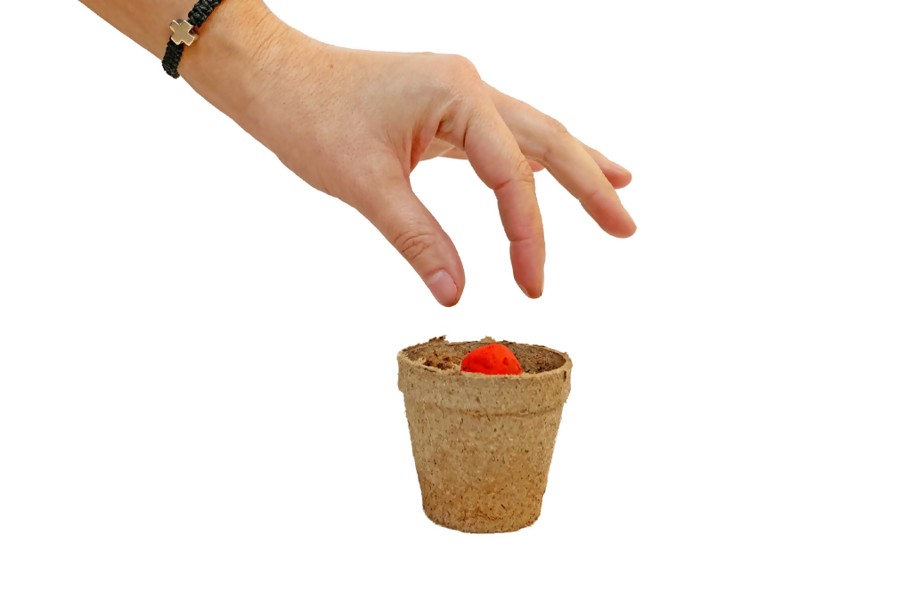 Kit Plantable - Kale