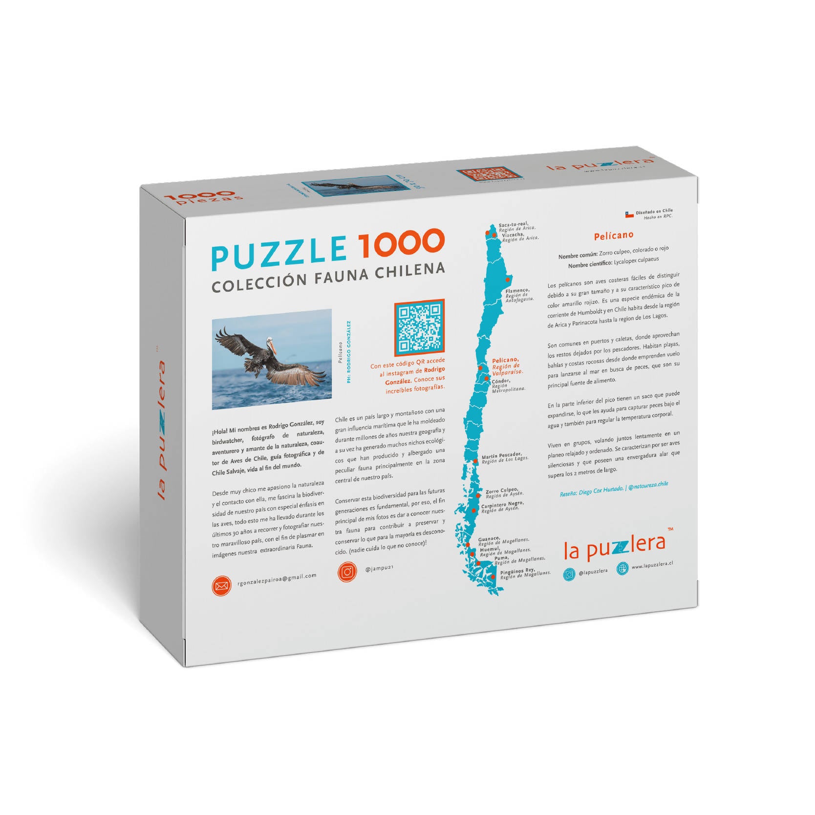 Puzzle Pelicano 1000 Piezas