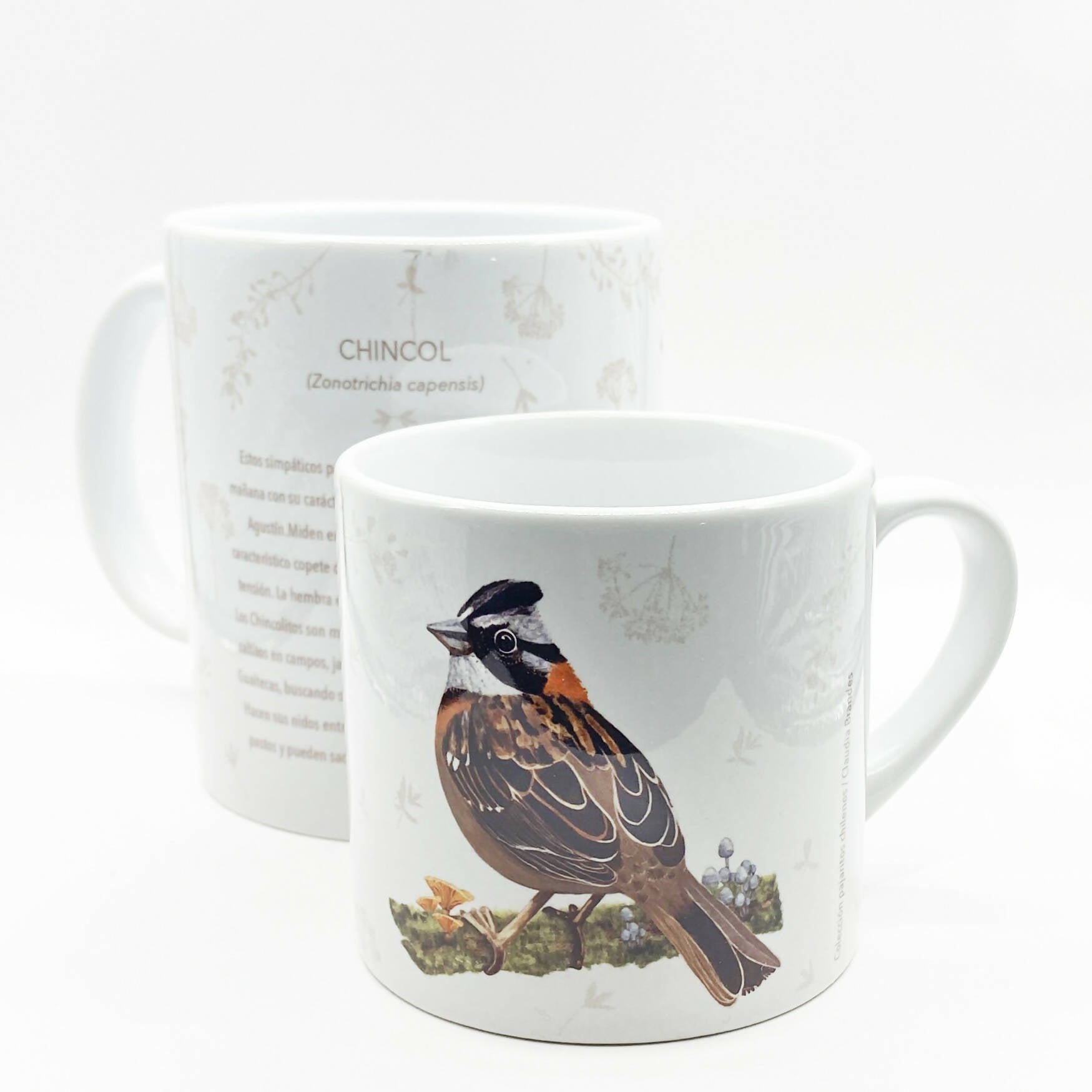 taza cafe y tazon chincol