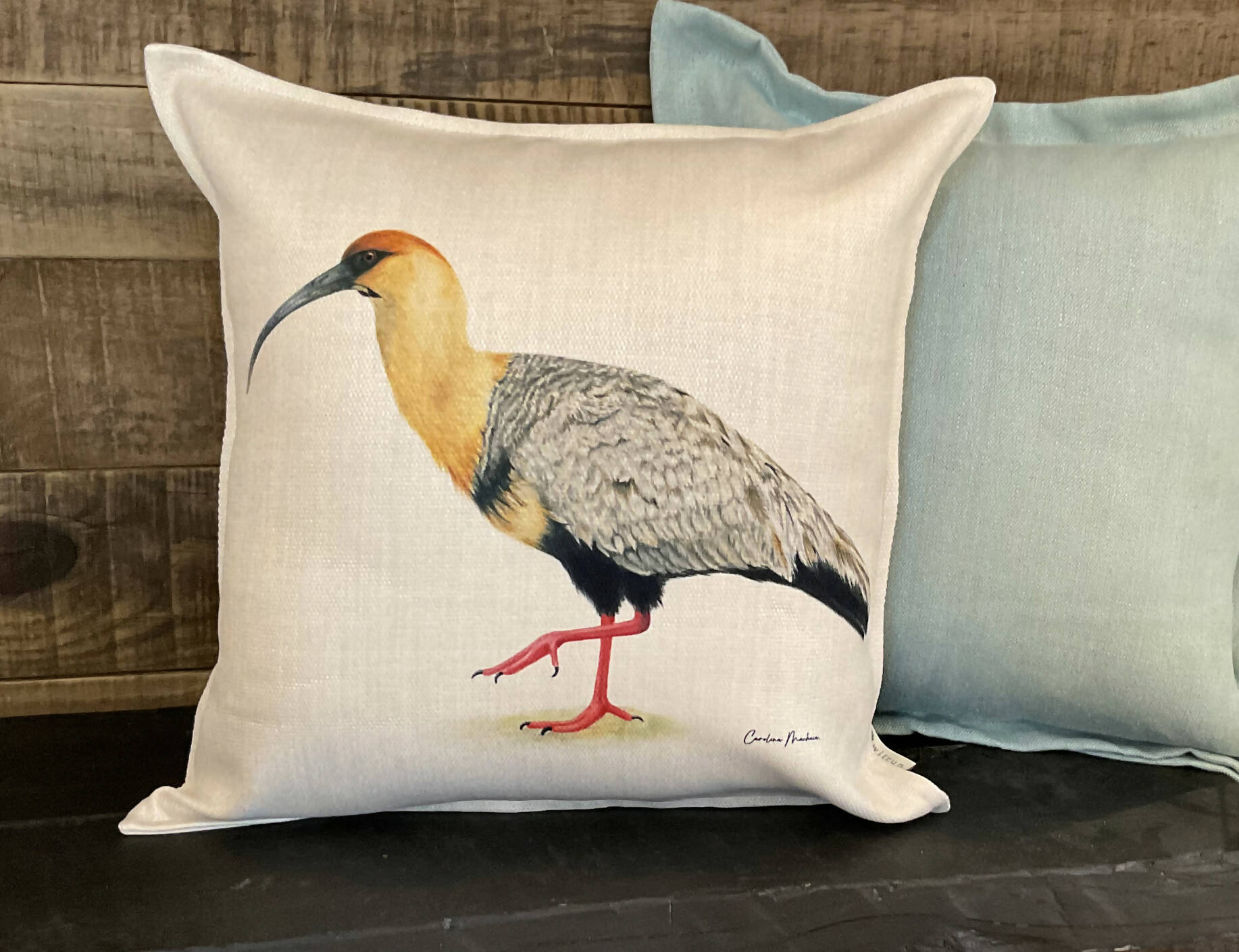 FUNDA COJÍN BANDURRIA