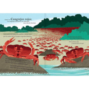 Interior libro "Viajamos tan lejos"