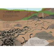 Interior libro "Viajamos tan lejos"