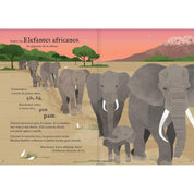 Interior libro "Viajamos tan lejos"