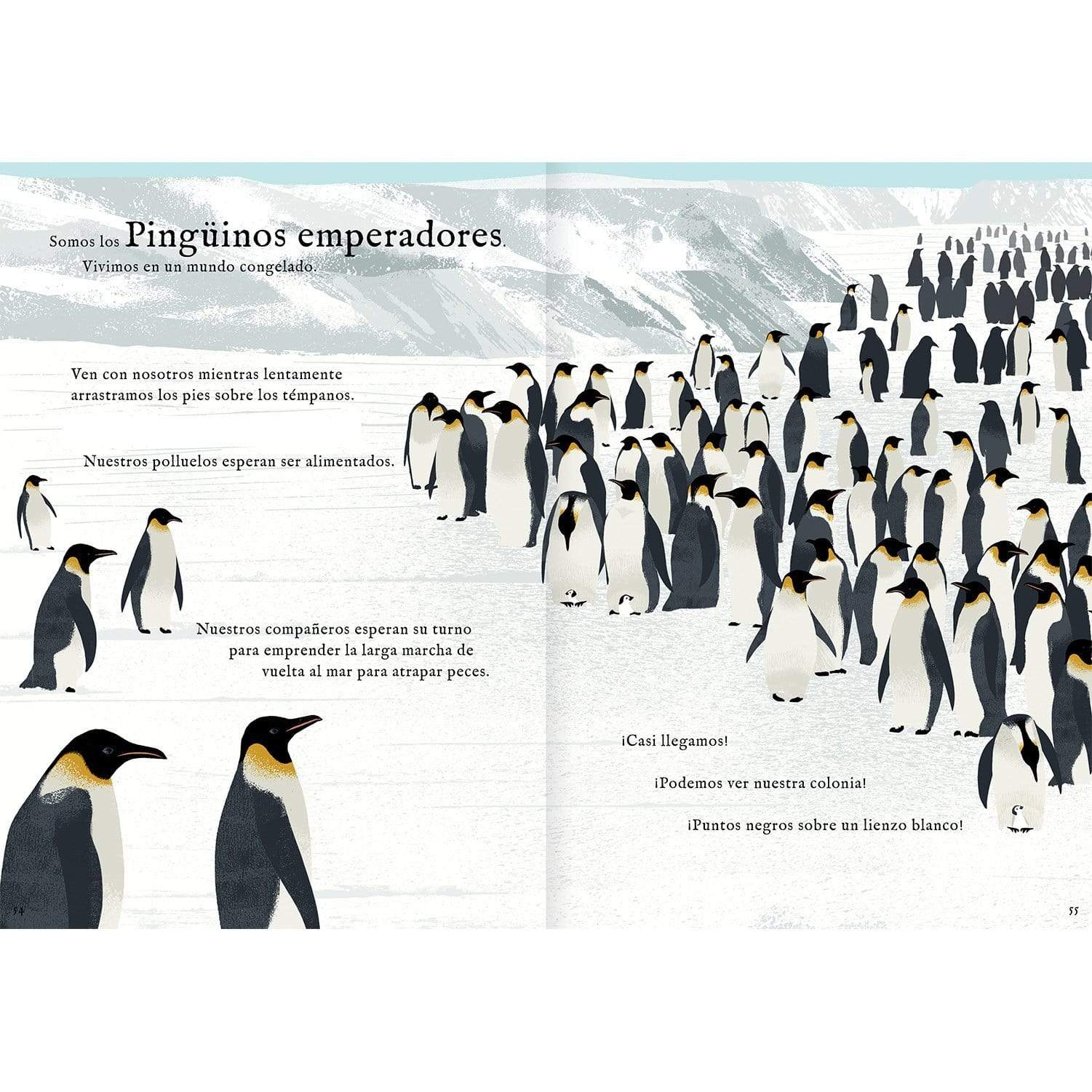 Interior libro "Viajamos tan lejos"