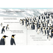 Interior libro "Viajamos tan lejos"