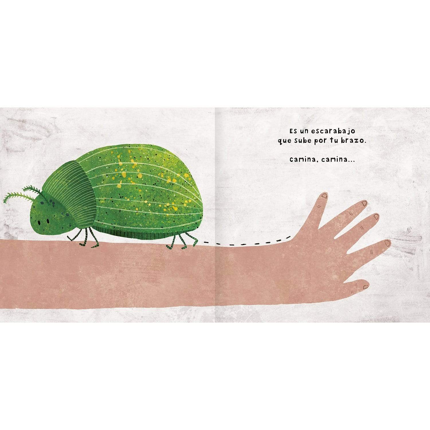 Interior libro "Menudos bichos"