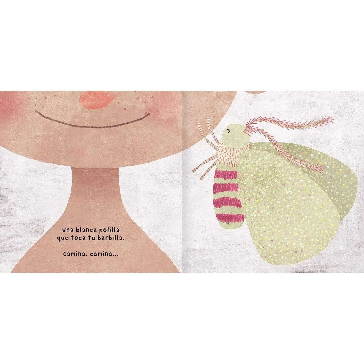 Interior libro "Menudos bichos"